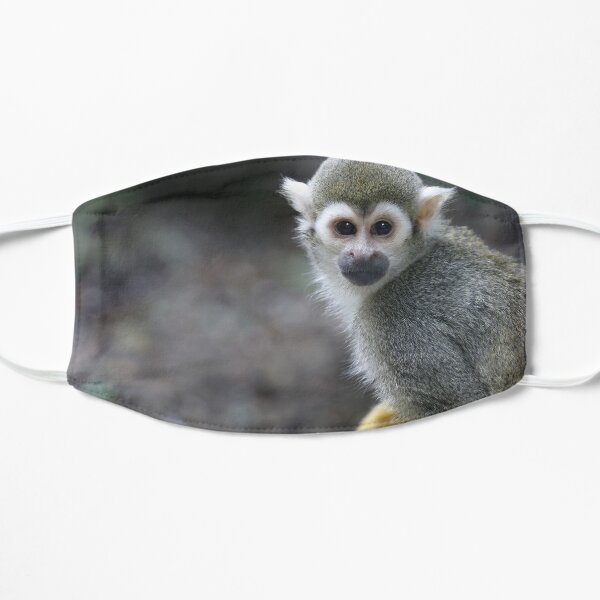 Squirrel monkey, sapajou jaune Masque sans plis