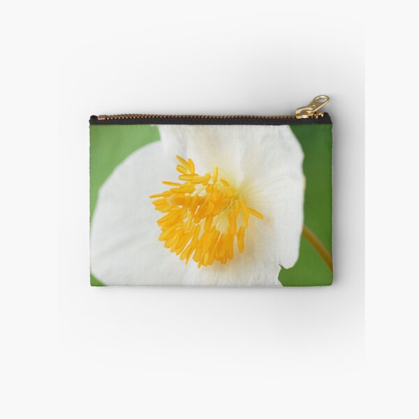 Item preview, Eomecon chionantha  Snow poppy  Chinese Bloodroot  designed and sold by Chris Burrows.