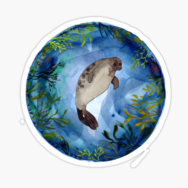 Selkie - seal Sticker