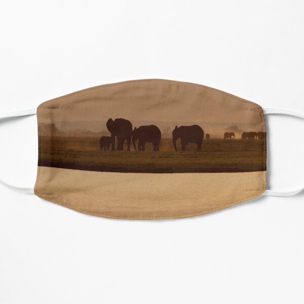 Elephants, sunset on Chobe Masque sans plis