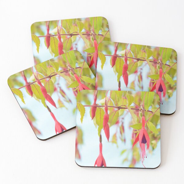 Item preview, Fuchsia magellanica var. gracilis  'Aurea'  designed and sold by Chris Burrows.