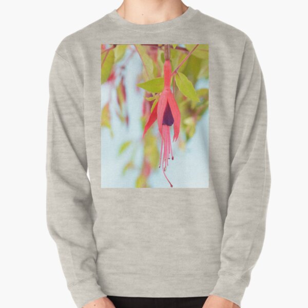 Fuchsia magellanica var. gracilis 'Aurea' Pullover Sweatshirt