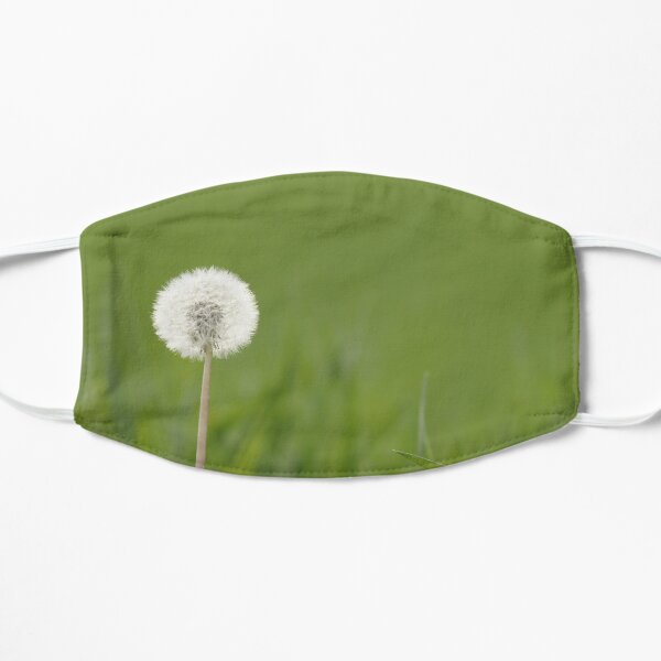 Dandelion in the green Masque sans plis