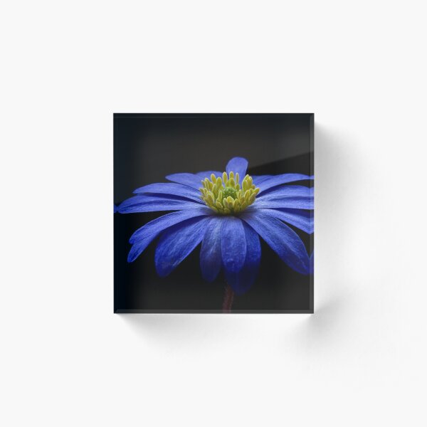 Blue Balkan Acrylic Block