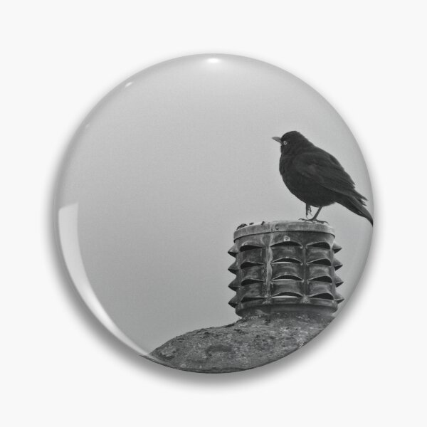 Item preview, Blackbird, Terdus merula, on a Chimney Top designed and sold by Rob Cole Photography.