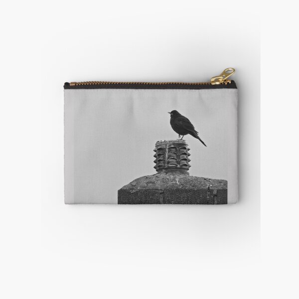 Item preview, Blackbird, Terdus merula, on a Chimney Top designed and sold by Rob Cole Photography.