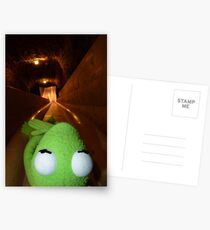 Frog Kermit Slip Mine Salt Mine Postcards