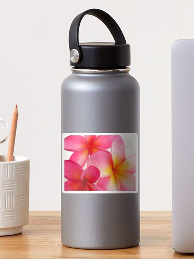 Thumbnail 1 of 3, Sticker, Pink Frangipani designed and sold by joyoung.