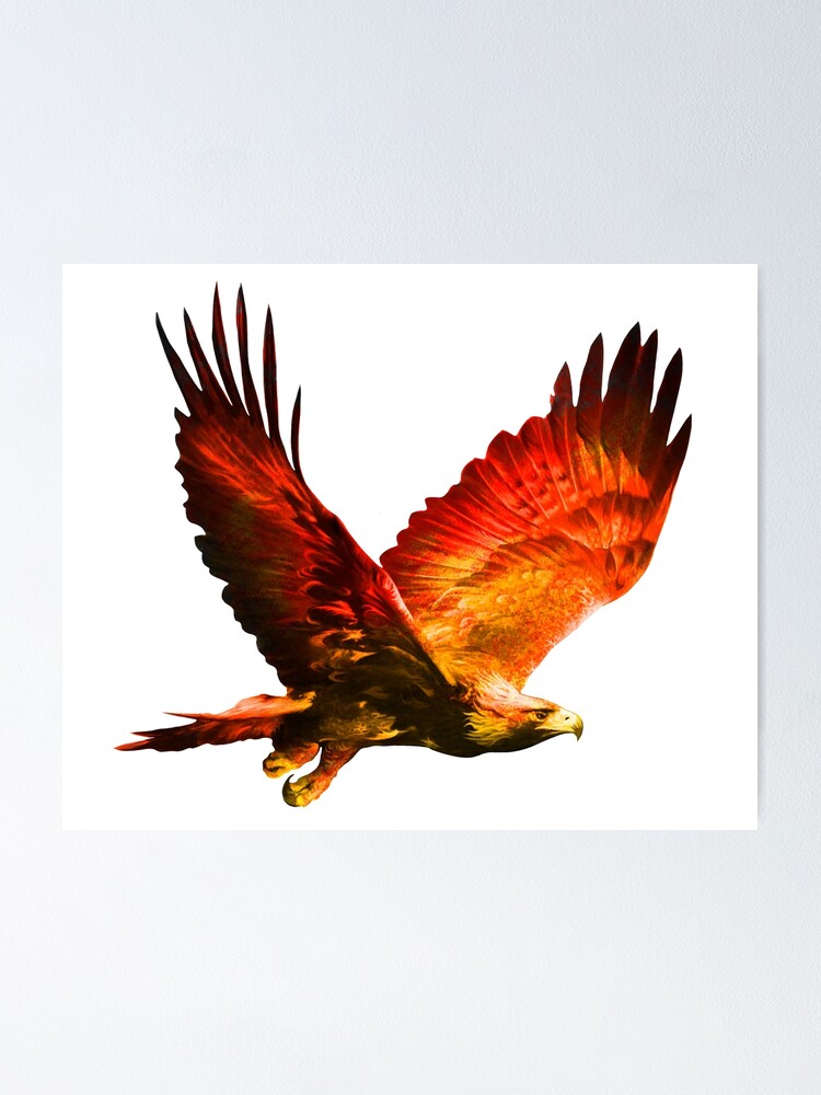 Golden Eagle Poster By Petersnook Redbubble
