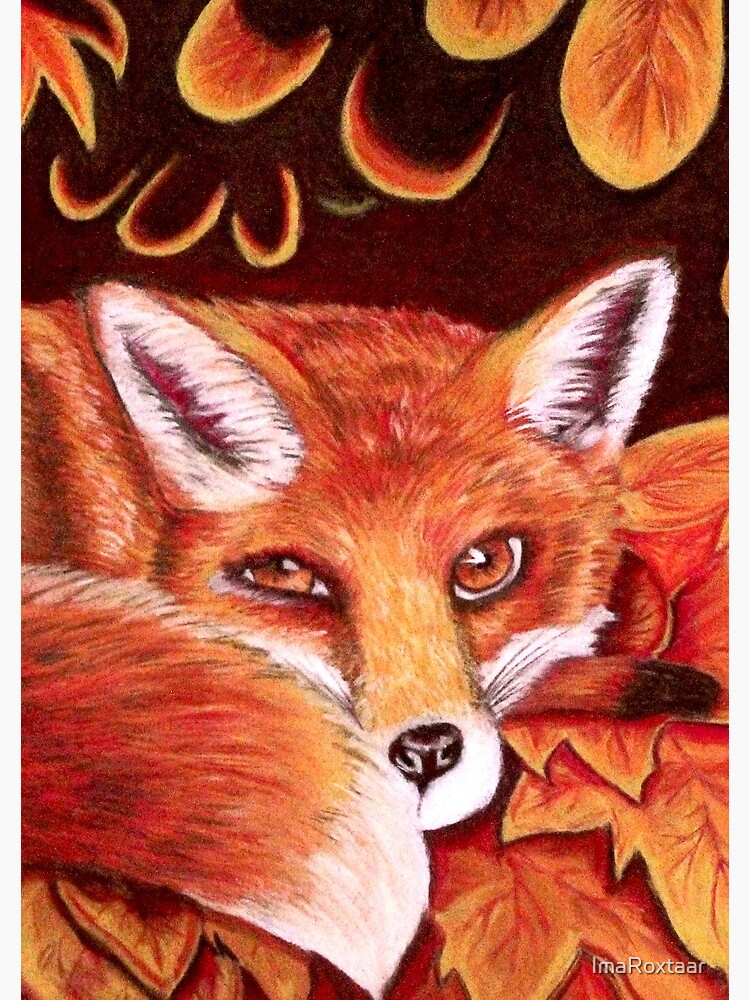 Sleepy Fox by ImaRoxtaar