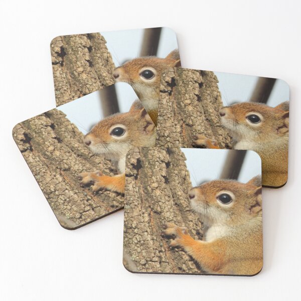 Item preview, Baby Red Squirrel Close Up designed and sold by Susie Kramer.