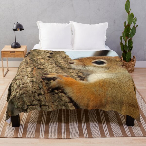 Item preview, Baby Red Squirrel Close Up designed and sold by Susie Kramer.