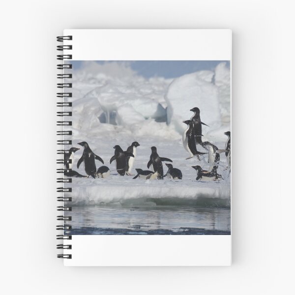 Item preview, Adelie jumping out of the water designed and sold by Marion Joncheres.