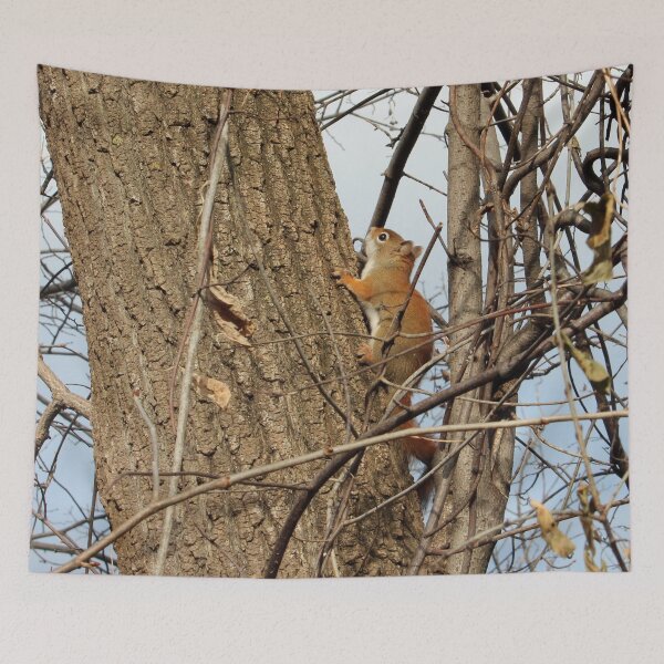Item preview, Baby Red Squirrel designed and sold by Susie Kramer.