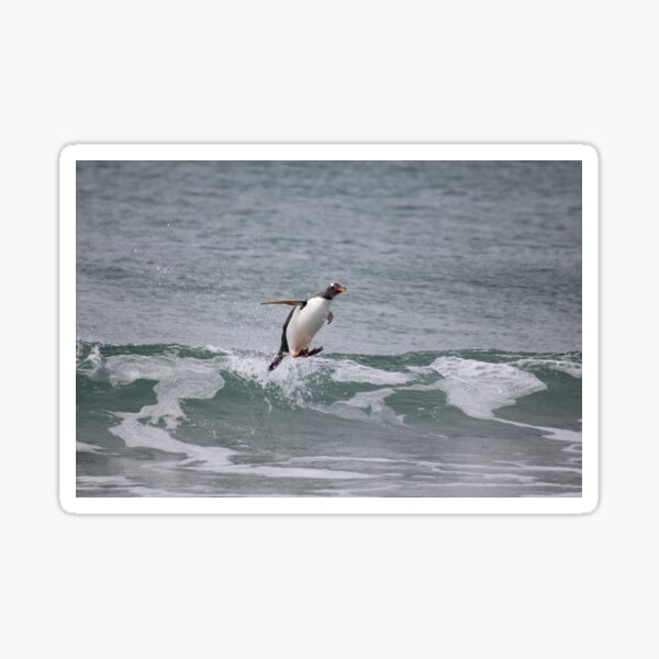 Item preview, Surfing in gentoo's style designed and sold by Marion Joncheres.