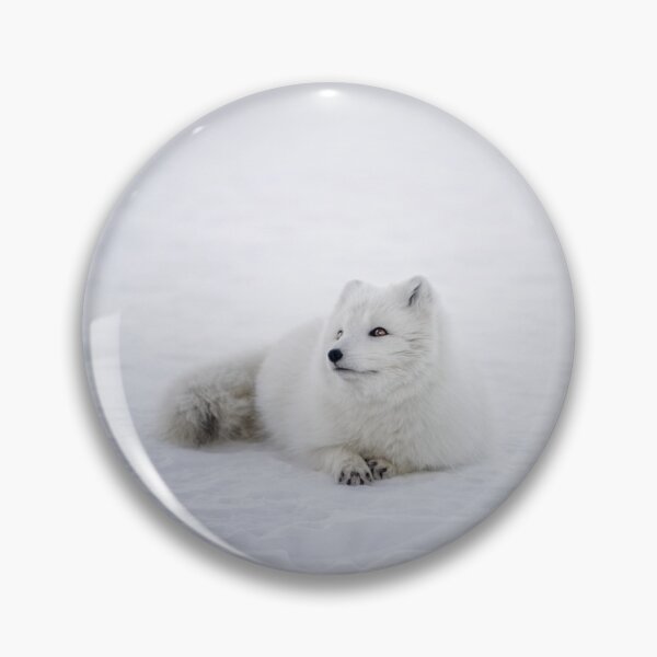 Item preview, Renard arctique designed and sold by UnPandafr.