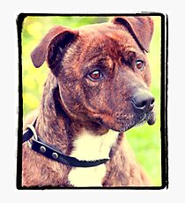 Butch Photographic Print