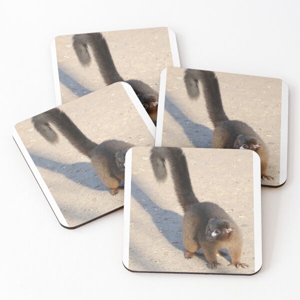 Item preview, Red Bellied Lemur designed and sold by aquabella.