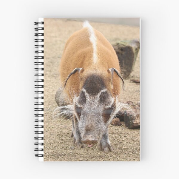 Item preview, Red River Hog designed and sold by aquabella.