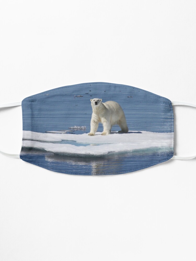 Masque 'Polar bear on the ice with his kill' : autre vue