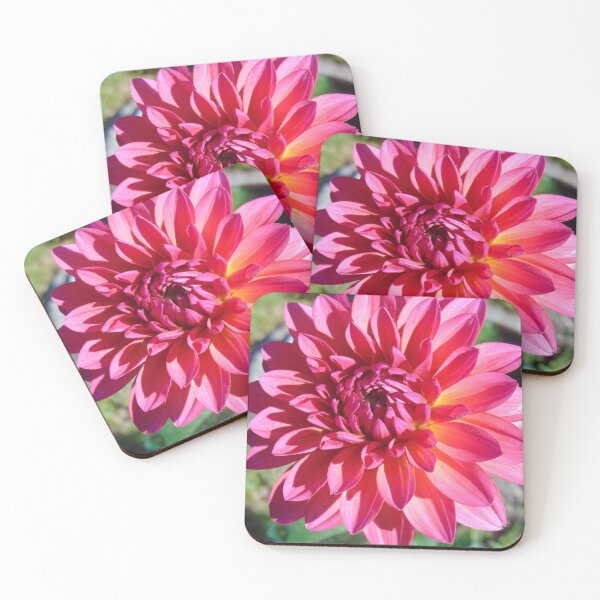 Item preview, Passionfruit Dahlia designed and sold by Margaret Flaherty.
