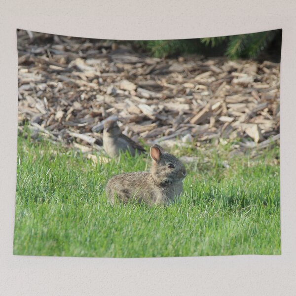Item preview, Backyard Bunny designed and sold by Susie Kramer.