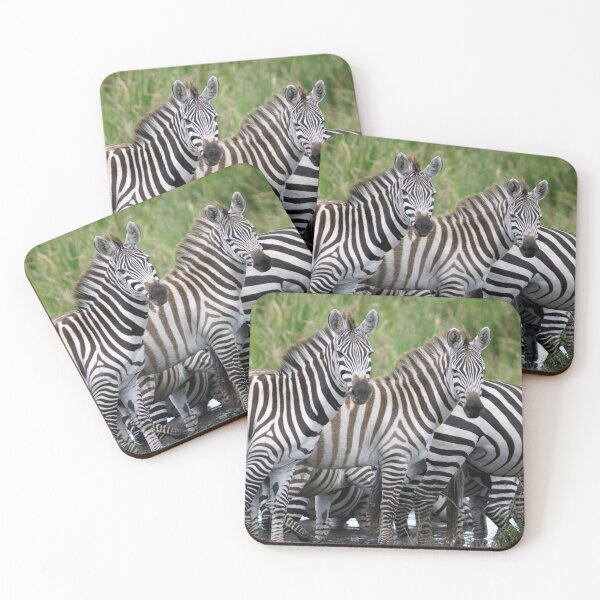 Item preview, Zebras designed and sold by Yves Roumazeilles (Wild Focus).