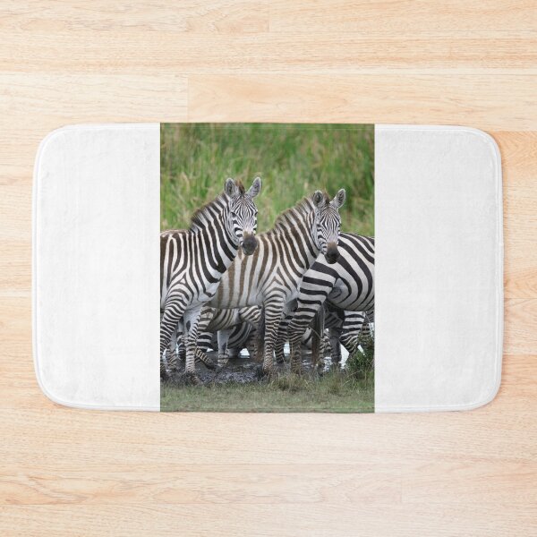 Item preview, Zebras designed and sold by Yves Roumazeilles (Wild Focus).