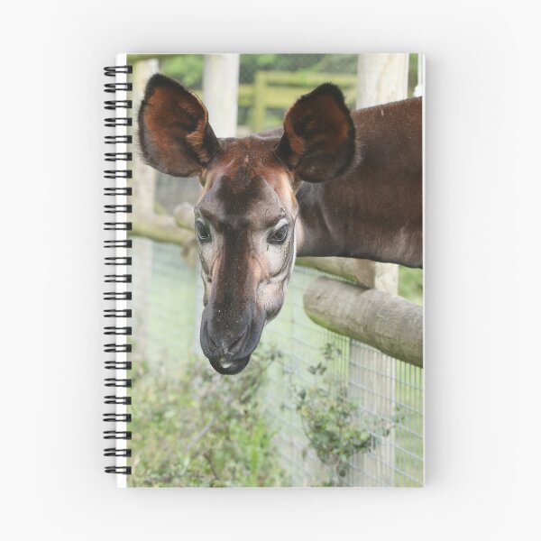 Item preview, Okapi designed and sold by aquabella.