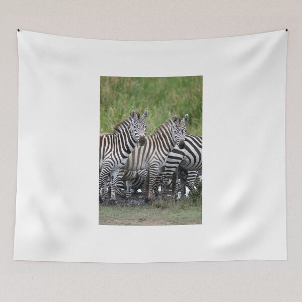 Item preview, Zebras designed and sold by Yves Roumazeilles (Wild Focus).