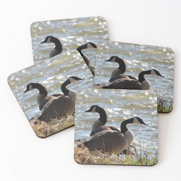 Item preview, Pair of Canada Geese designed and sold by Susie Kramer.