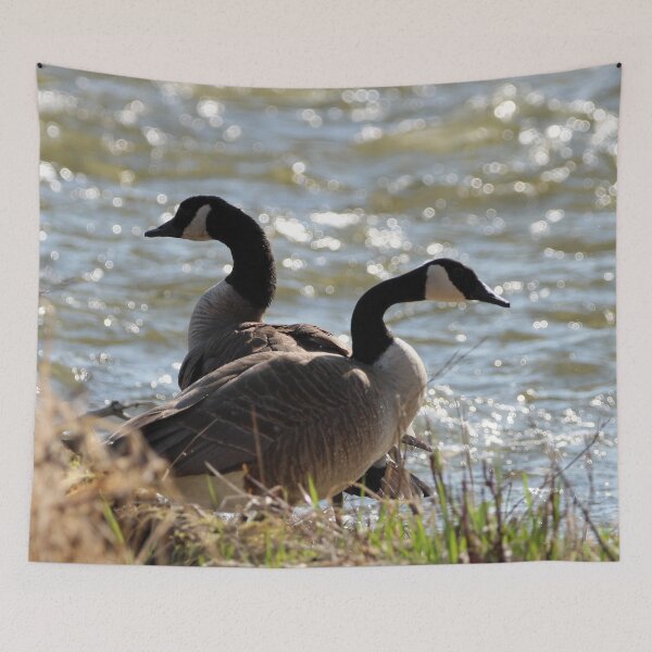 Item preview, Pair of Canada Geese designed and sold by Susie Kramer.