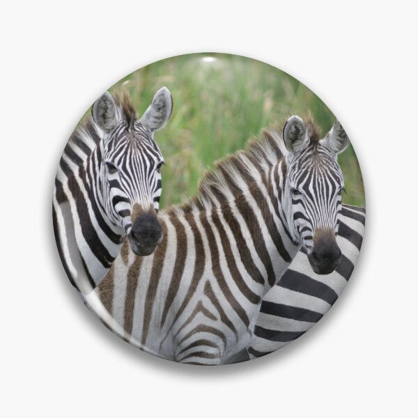 Item preview, Zebras designed and sold by Yves Roumazeilles (Wild Focus).
