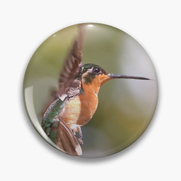 Item preview, Hummingbird Acrobatics designed and sold by Carole-Anne.