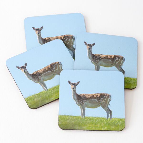 Item preview, Red deer doe designed and sold by iCimages.net.