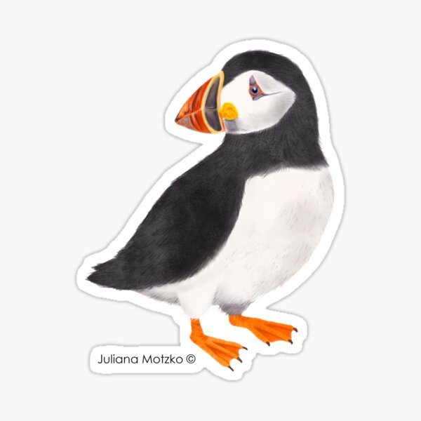 Puffin Sticker