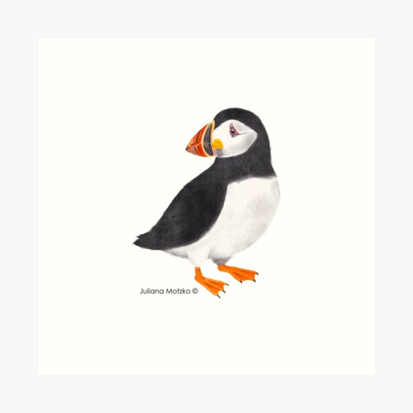 Puffin Art Print