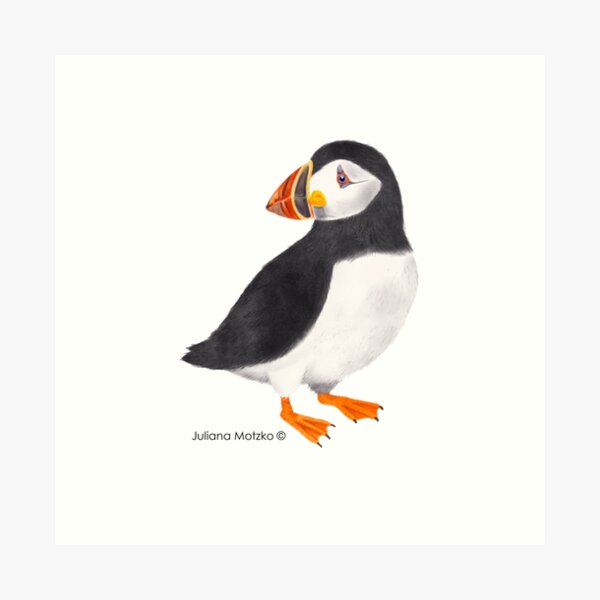 Puffin Art Print