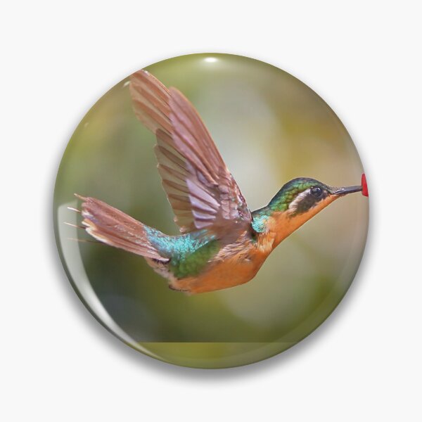 Artikelvorschau, Purpur-throated Berg-Edelstein Kolibri entworfen und verkauft von Carole-Anne.