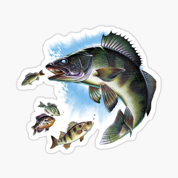 Sport Fishing Stickers for Sale, Free US Shipping