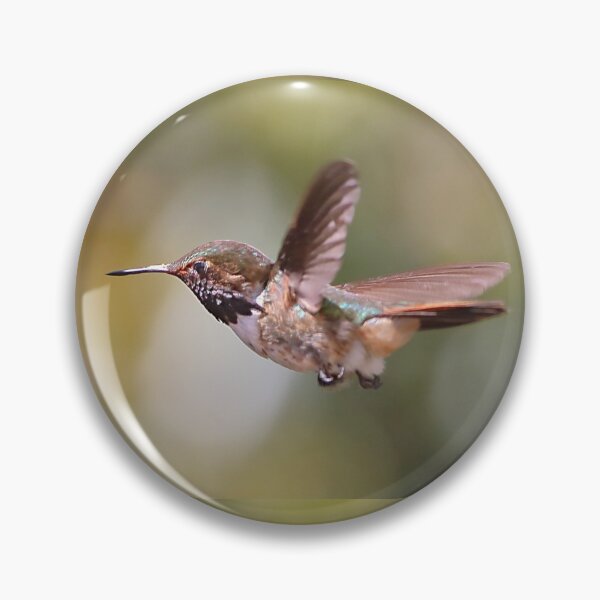 Artikelvorschau, Scintillant Kolibri entworfen und verkauft von Carole-Anne.