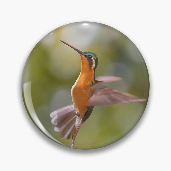 Aperçu de l'œuvre Acrobatie Colibri créée et vendue par Carole-Anne.