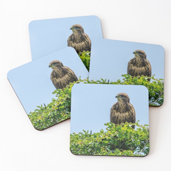 Item preview, Buzzard designed and sold by iCimages.net.
