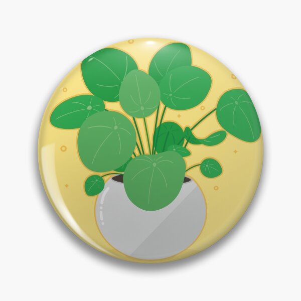 cute pilea peperomioides - chinese money plant Pin