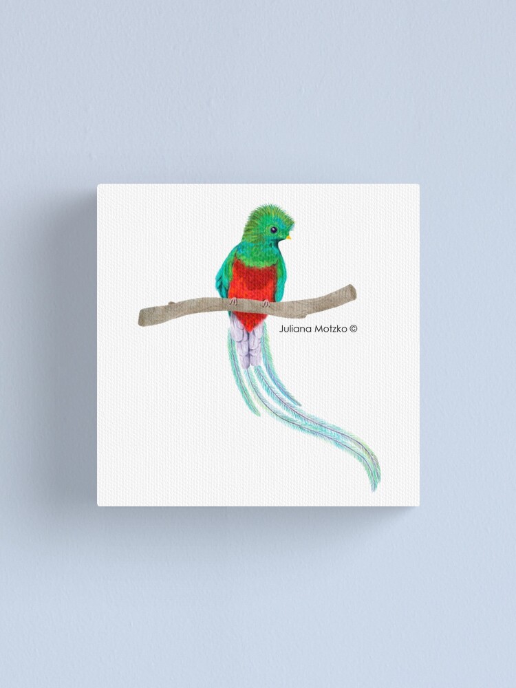Alternate view of Quetzal Bird Canvas Print