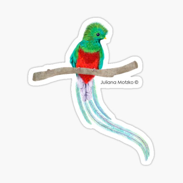 Quetzal Bird Sticker