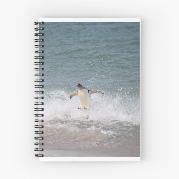 Item preview, Gentoo's style surfing designed and sold by Marion Joncheres.