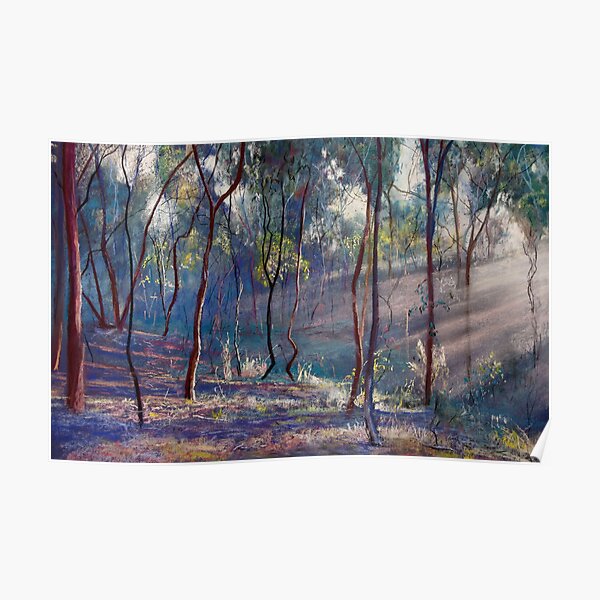 Rays Across the Gully Poster
