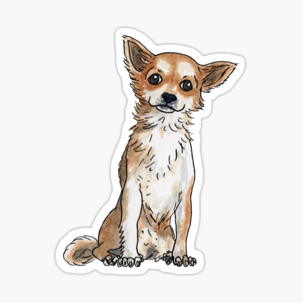 Long hair chihuahua Sticker