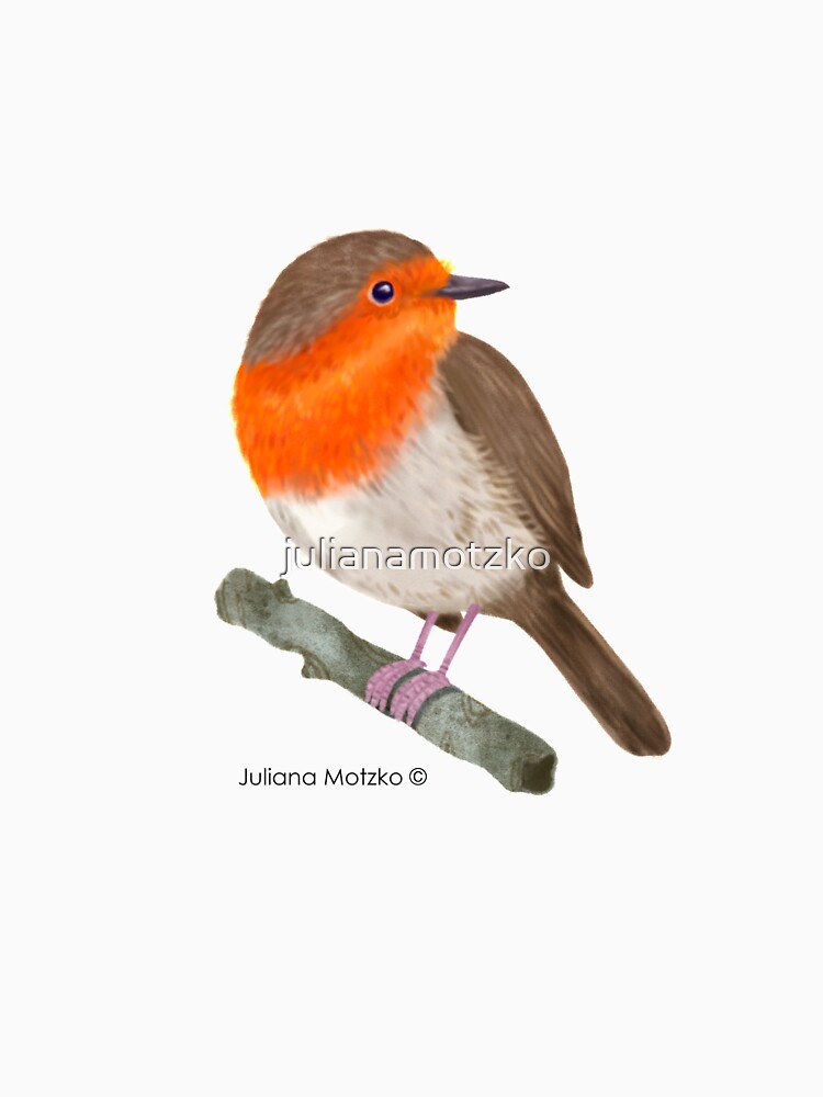 Robin Redbreast bird by julianamotzko
